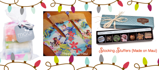 Hawaii Christmas Stocking Stuffer Gift Idea
