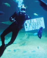 maui underwater marriage proposal