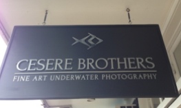 cesere.brothers.underwater.photography