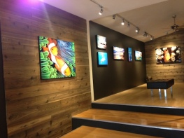 wood wall art gallery display modern