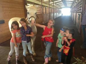maui horseback riding lessons summer camp 