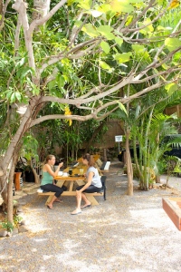 sports club of the pacific paia maui juice bar 