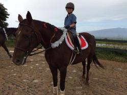 maui horse camp spring break 2015