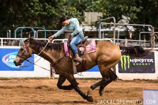 makawao 2015 rodeo fourth of july