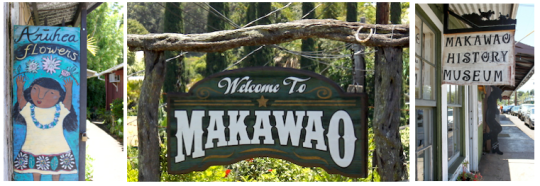 MAKAWAO signs maui where to shop 